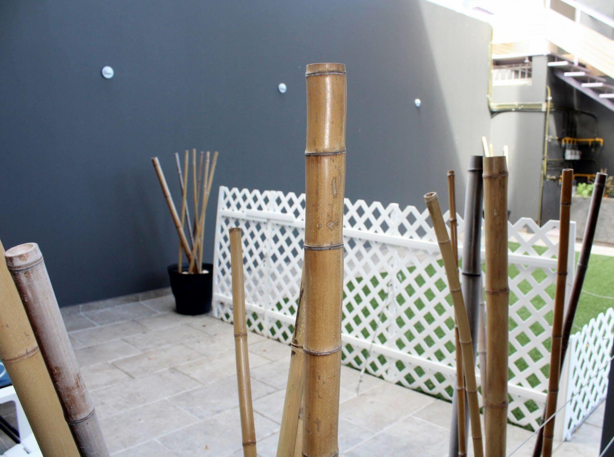 Iris & Appartement Playa del Carmen
