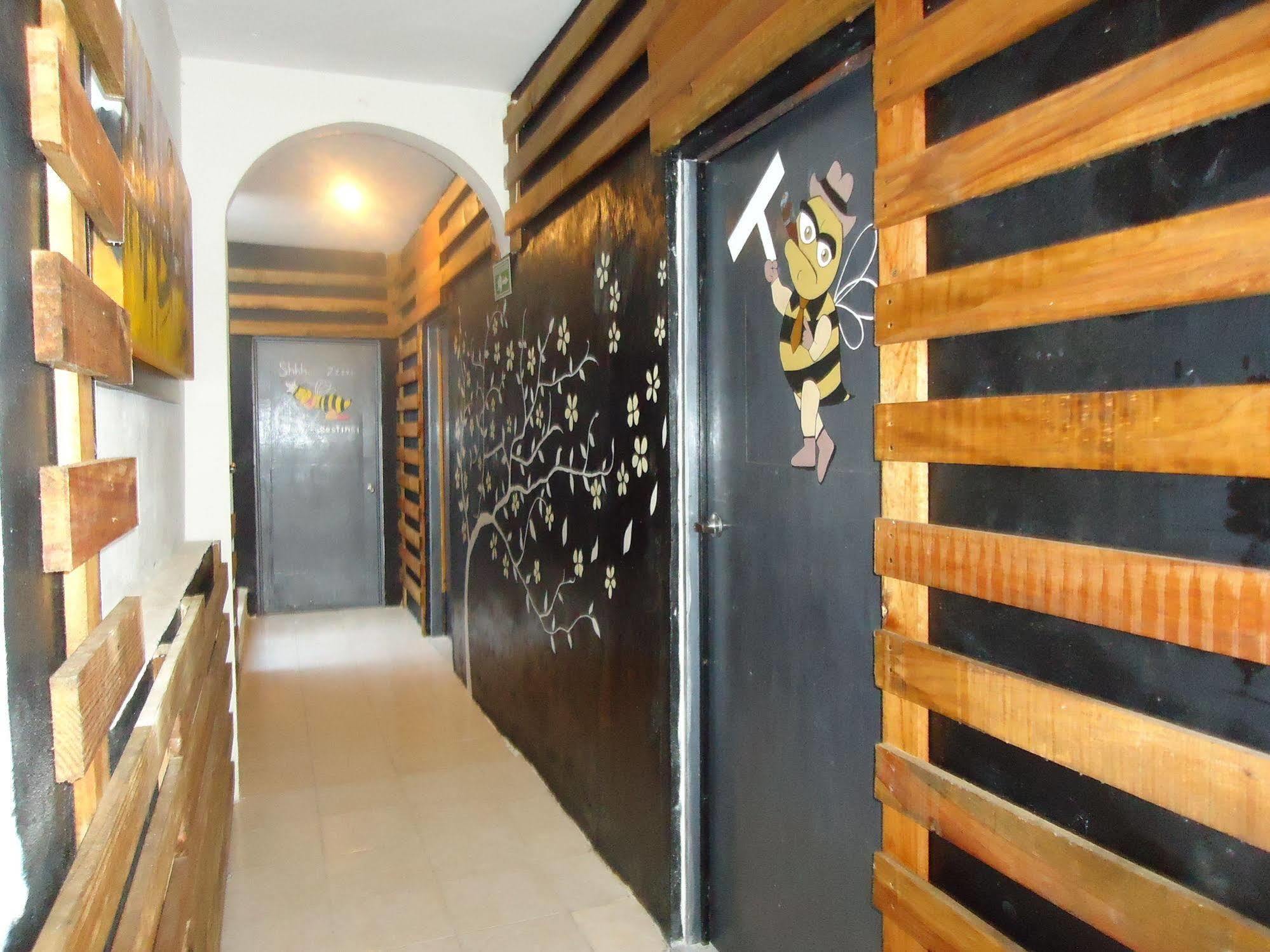 Humble Bumble Albergue Playa del Carmen