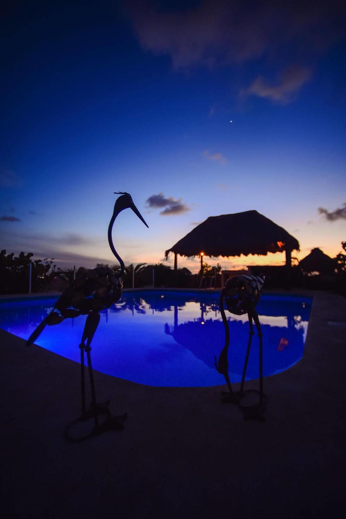 Encanto Riviera