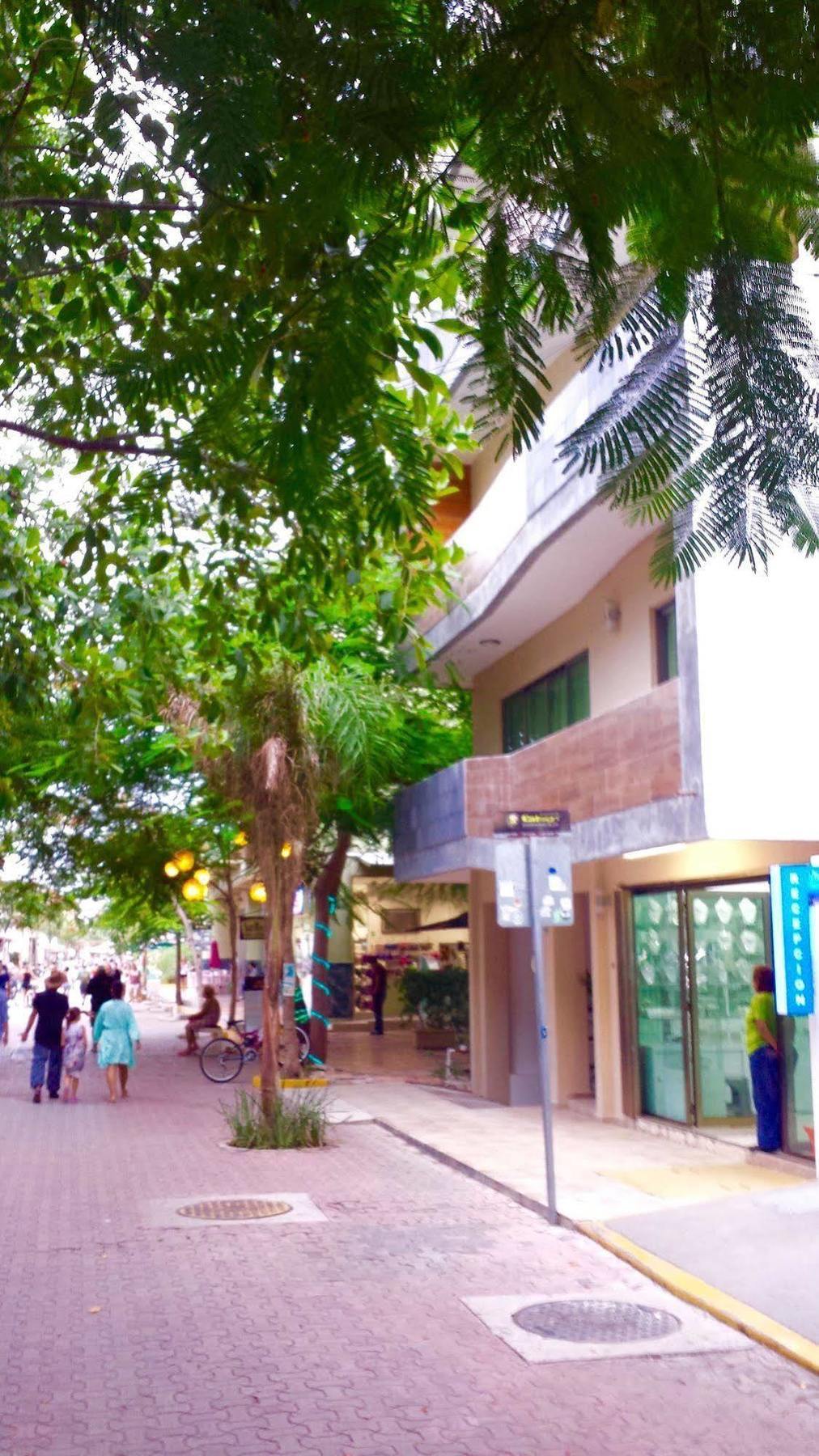 Bed & Breakfast Maya Vacanze Playa Quinta 2*