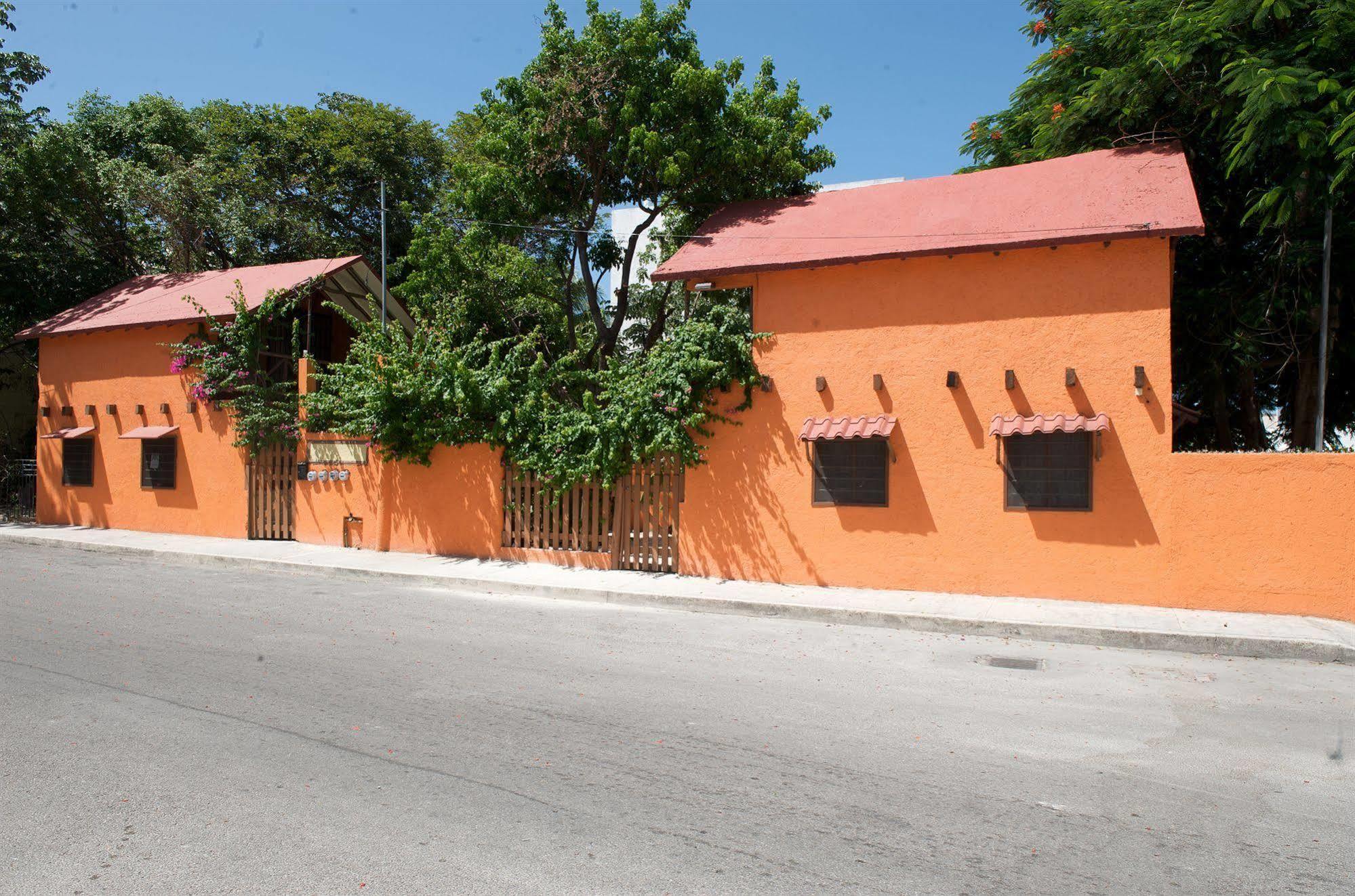 Casa Kiwi Apartment *