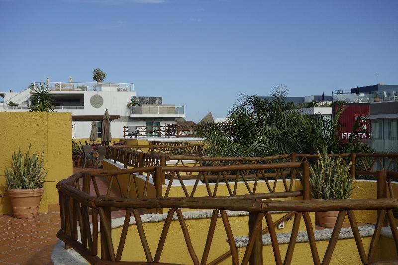 Palmas Playa del Carmen