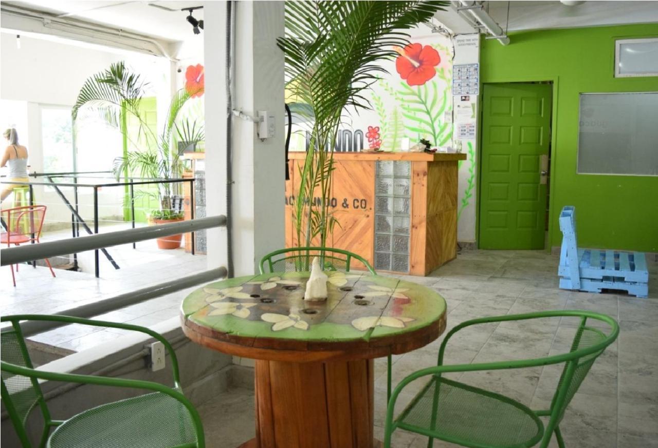 Guacamundo 5th. Ave Playa del Carmen