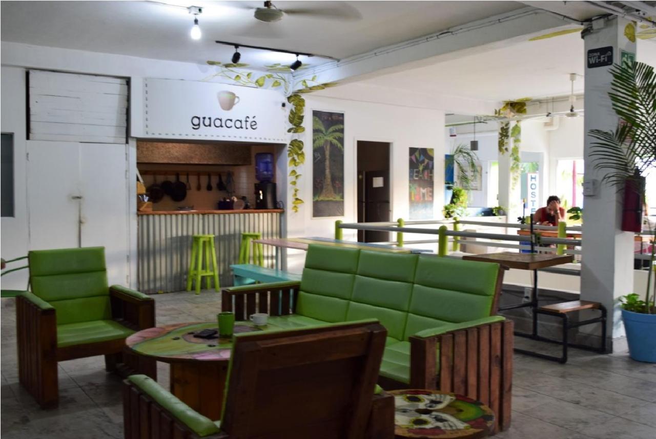 Guacamundo 5th. Ave Hostel Playa del Carmen