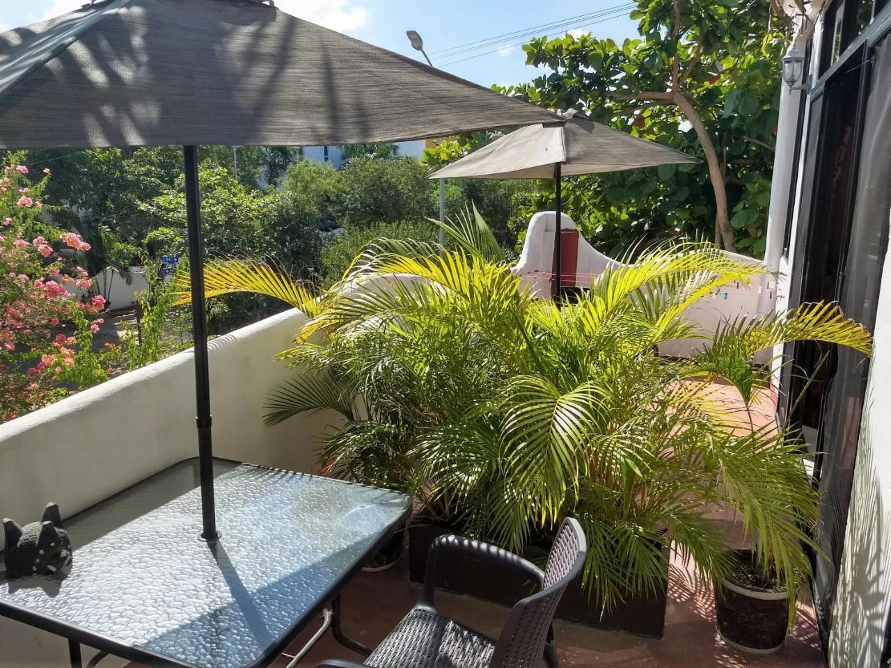 Bed & Breakfast Tiburon *