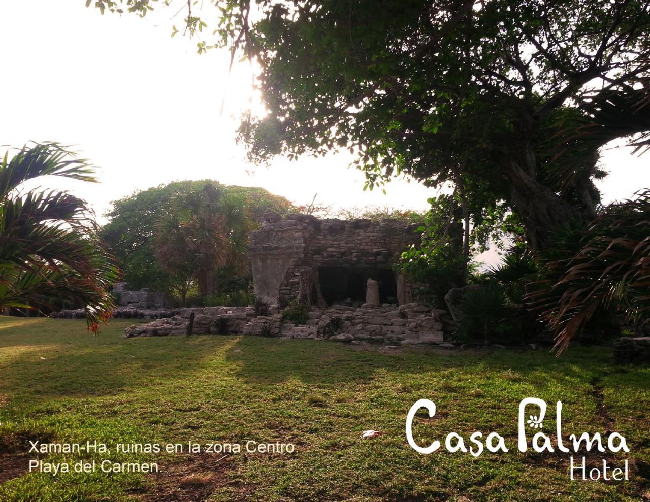 Casa Palma 2* Playa del Carmen
