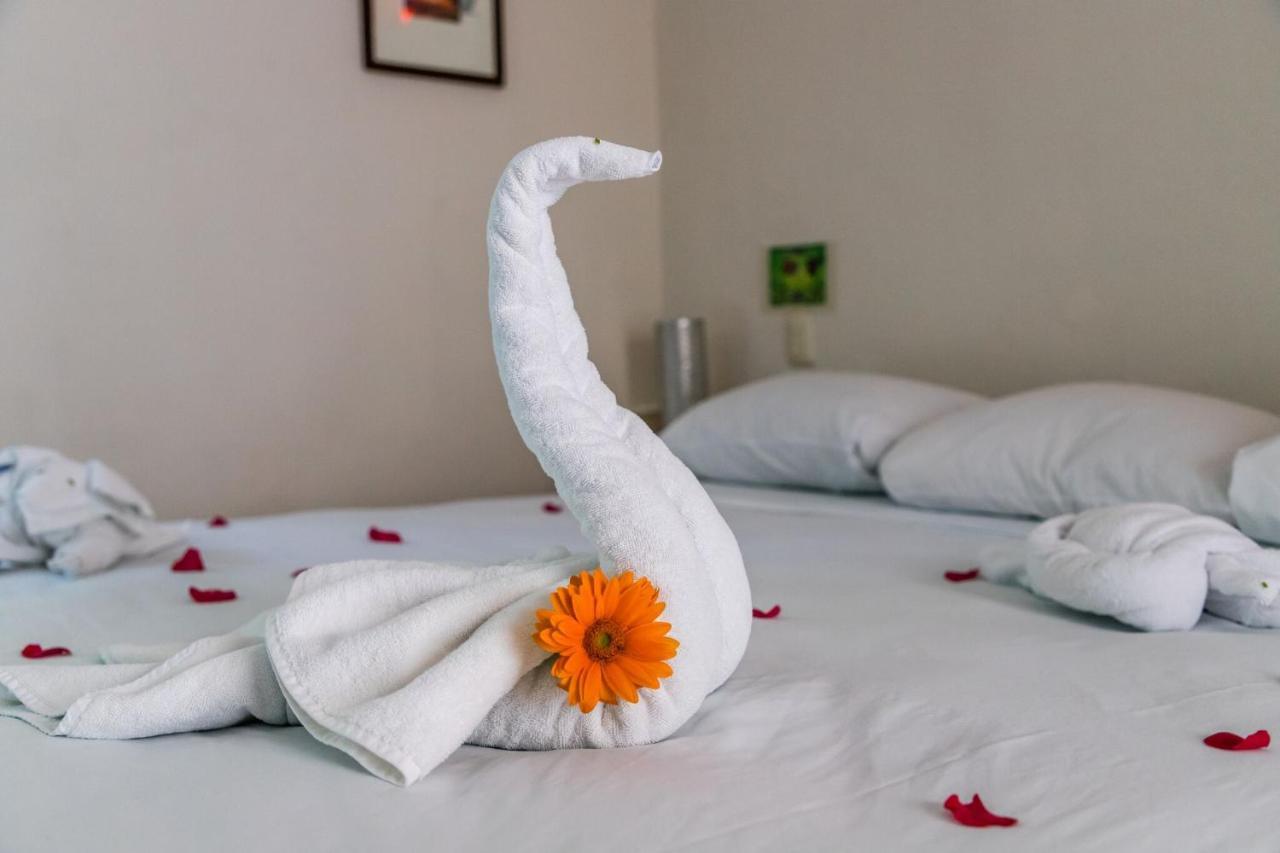 Moonshine Hotel Playa del Carmen