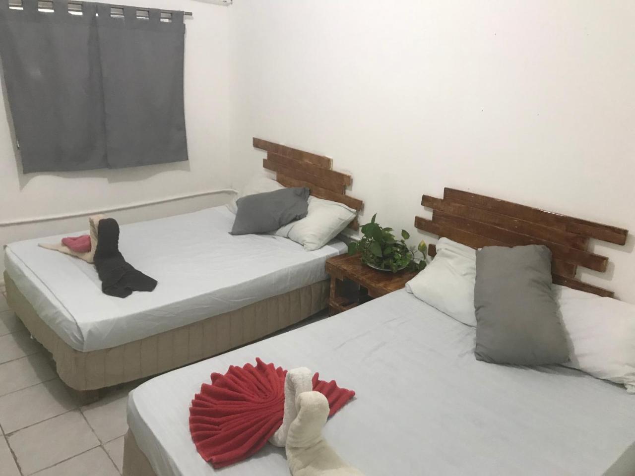 Hostel Guacamundo 5th. Ave *