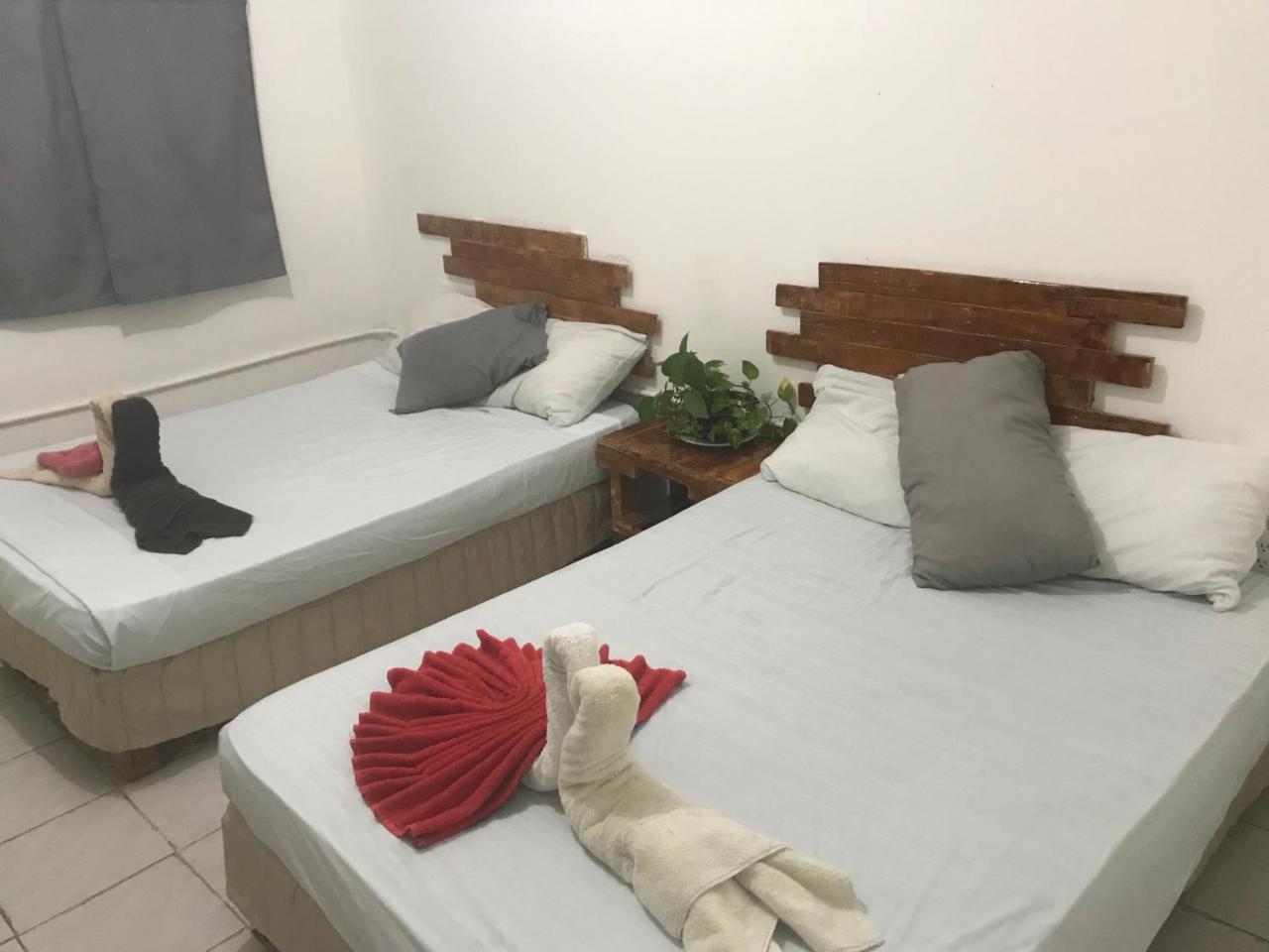 Guacamundo 5th. Ave Hostel