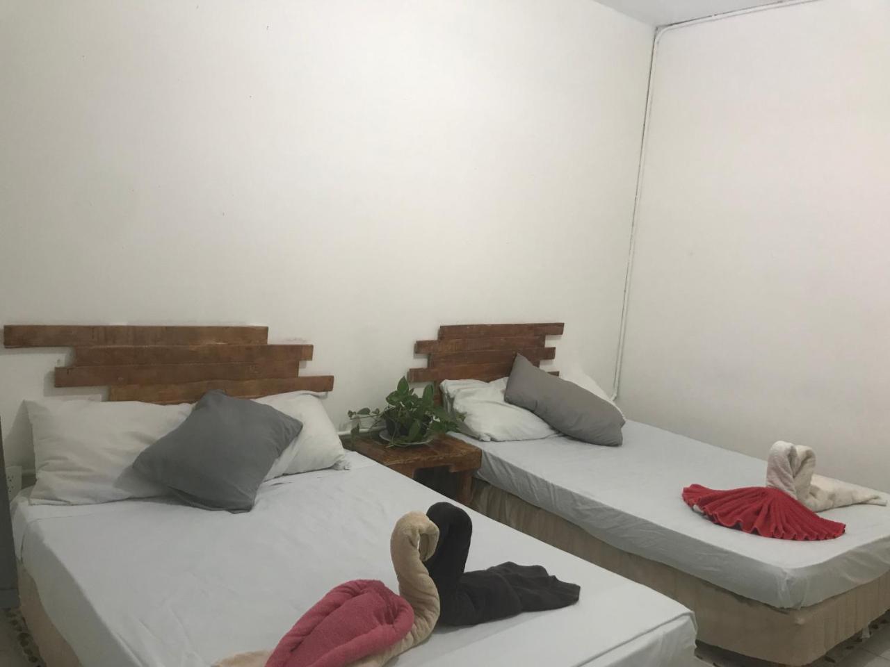 Hostel Guacamundo 5th. Ave Playa del Carmen
