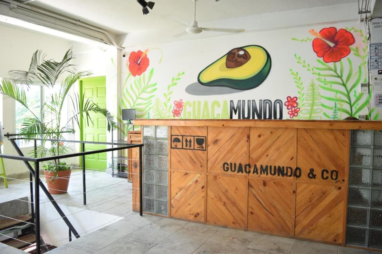 Hostel Guacamundo 5th. Ave