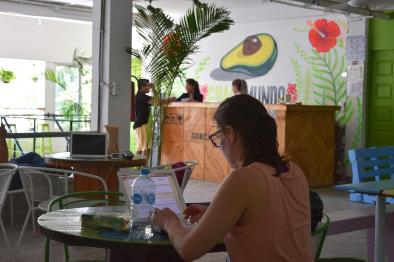 Hostel Guacamundo 5th. Ave Playa del Carmen