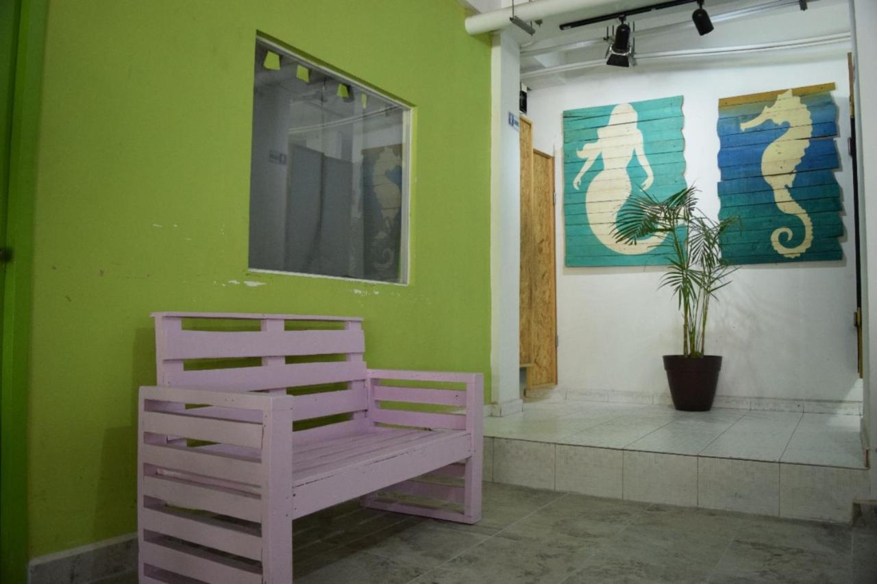 Hostel Guacamundo 5th. Ave Playa del Carmen