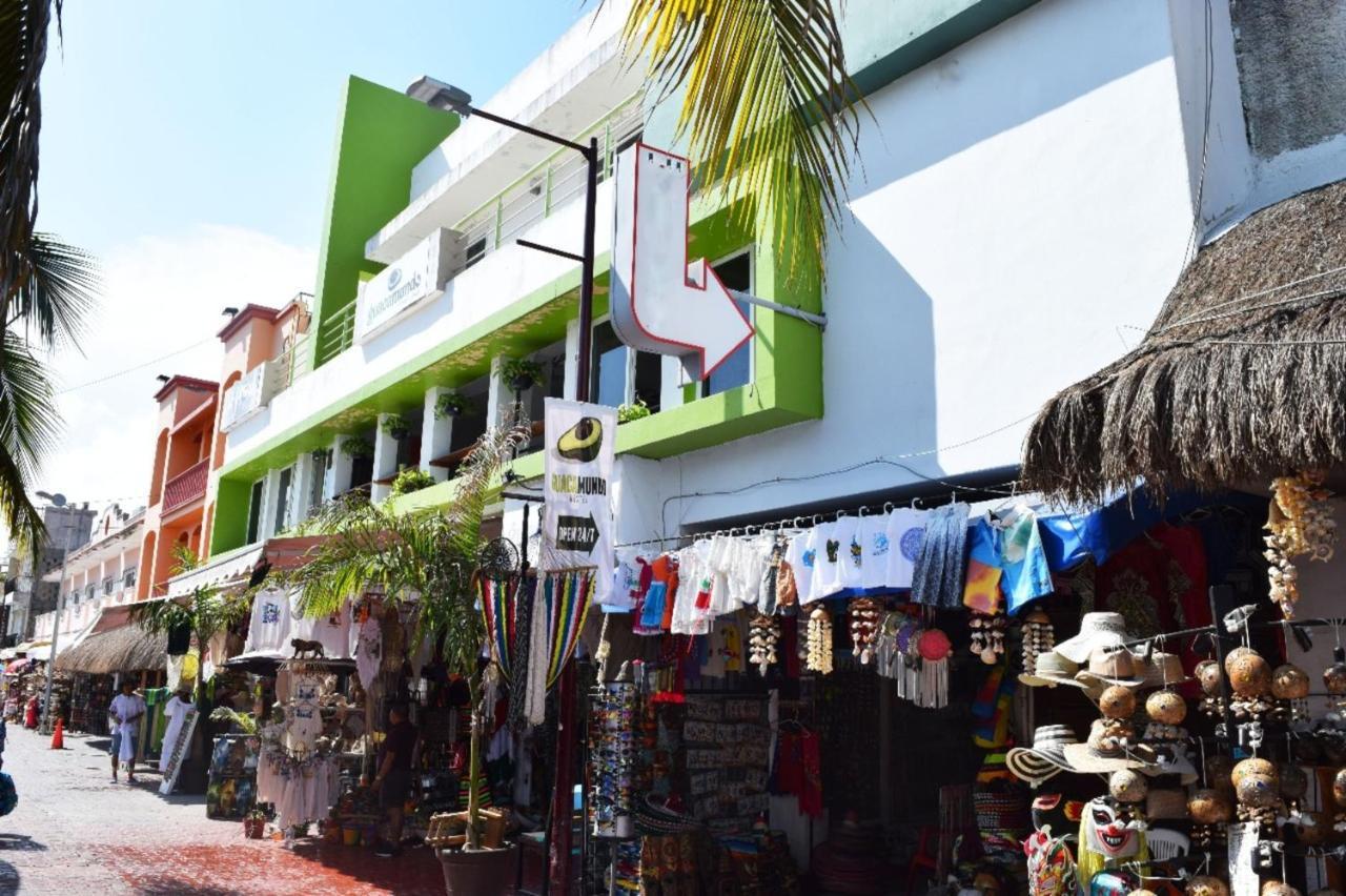 Hostel Guacamundo 5th. Ave *