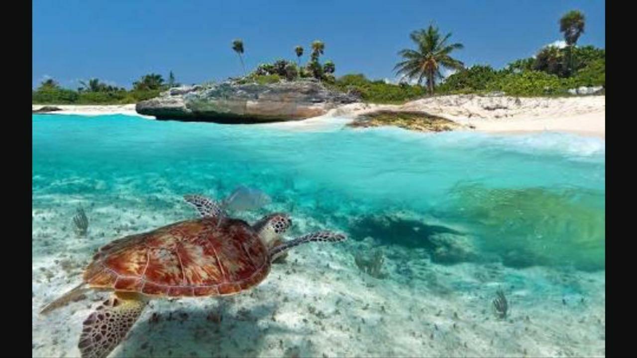 La Playita Pdc Guest house