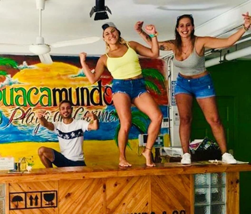 Guacamundo 5th. Ave Hostel Playa del Carmen