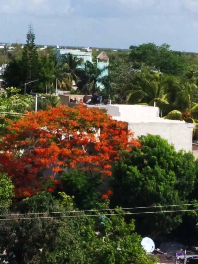Aparthotel El Nomada Playa del Carmen
