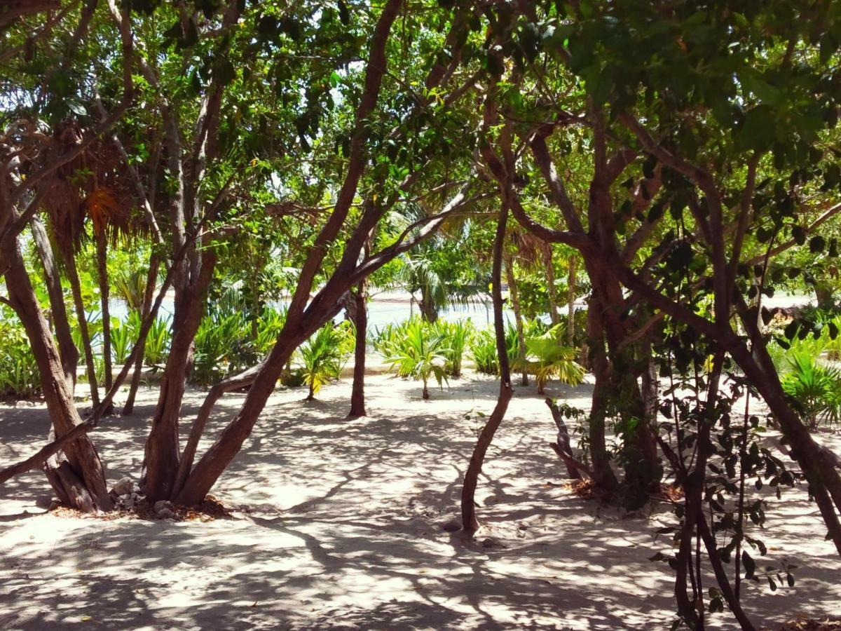 El Nomada Aparthotel Playa del Carmen