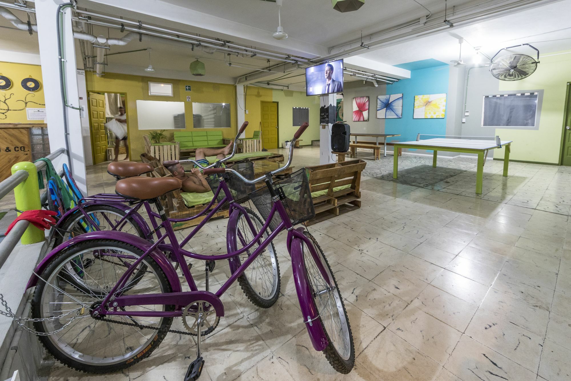 Hostel Guacamundo 5th. Ave *