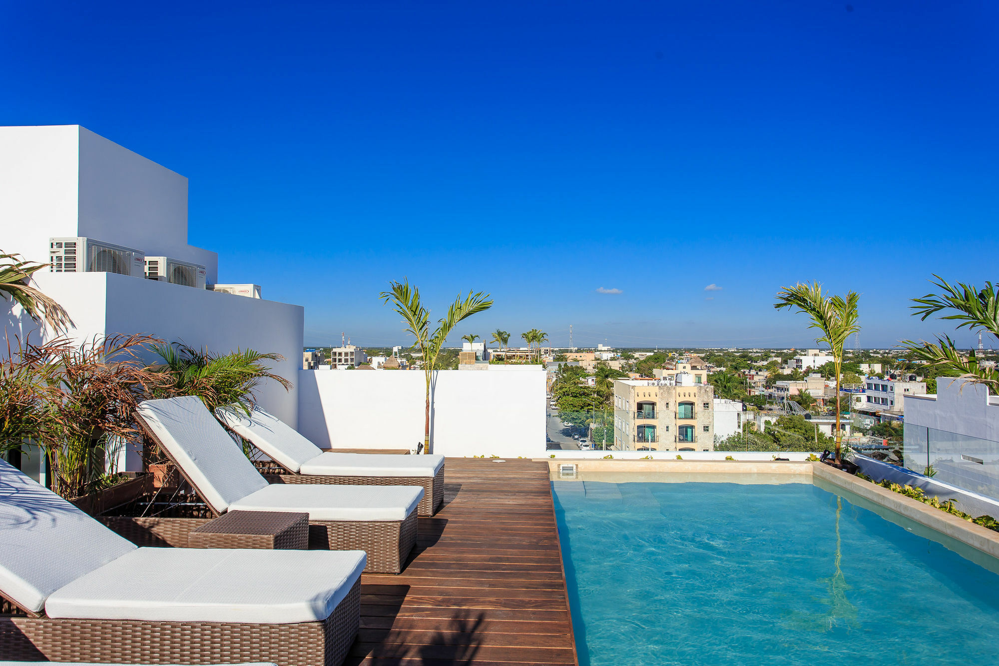 Areca By Playa Moments