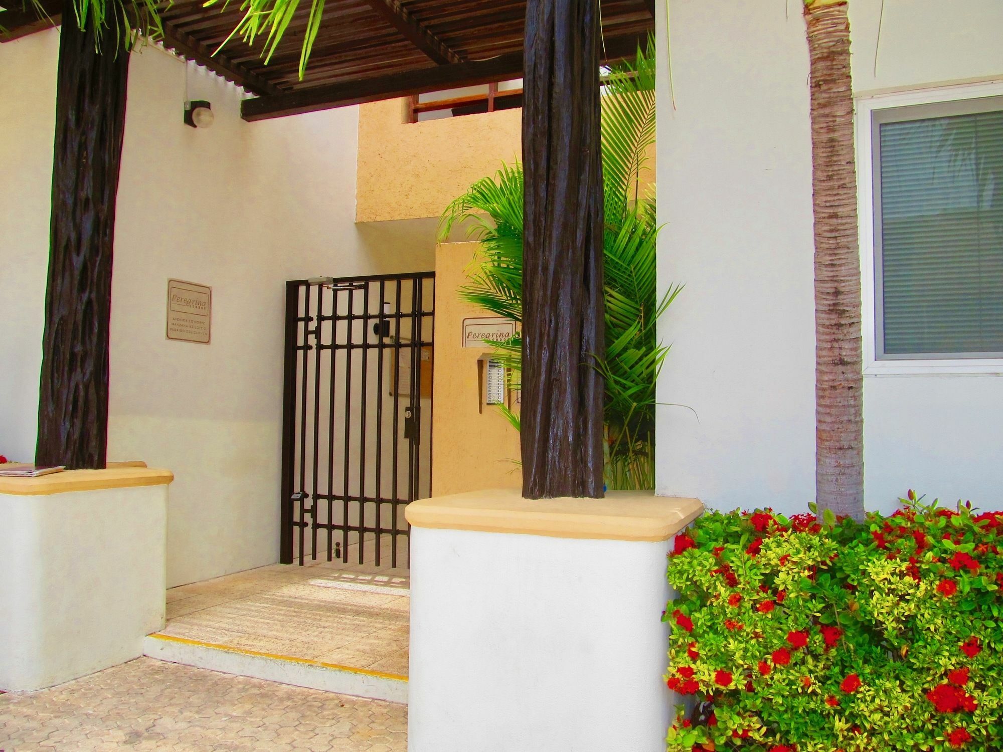 Pacifico By Playa Paradise Hotel 3*