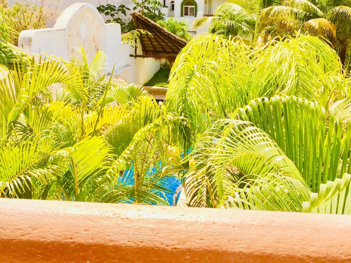 Gorgeous With Pool E8 Playacar Phase 2 Playa del Carmen