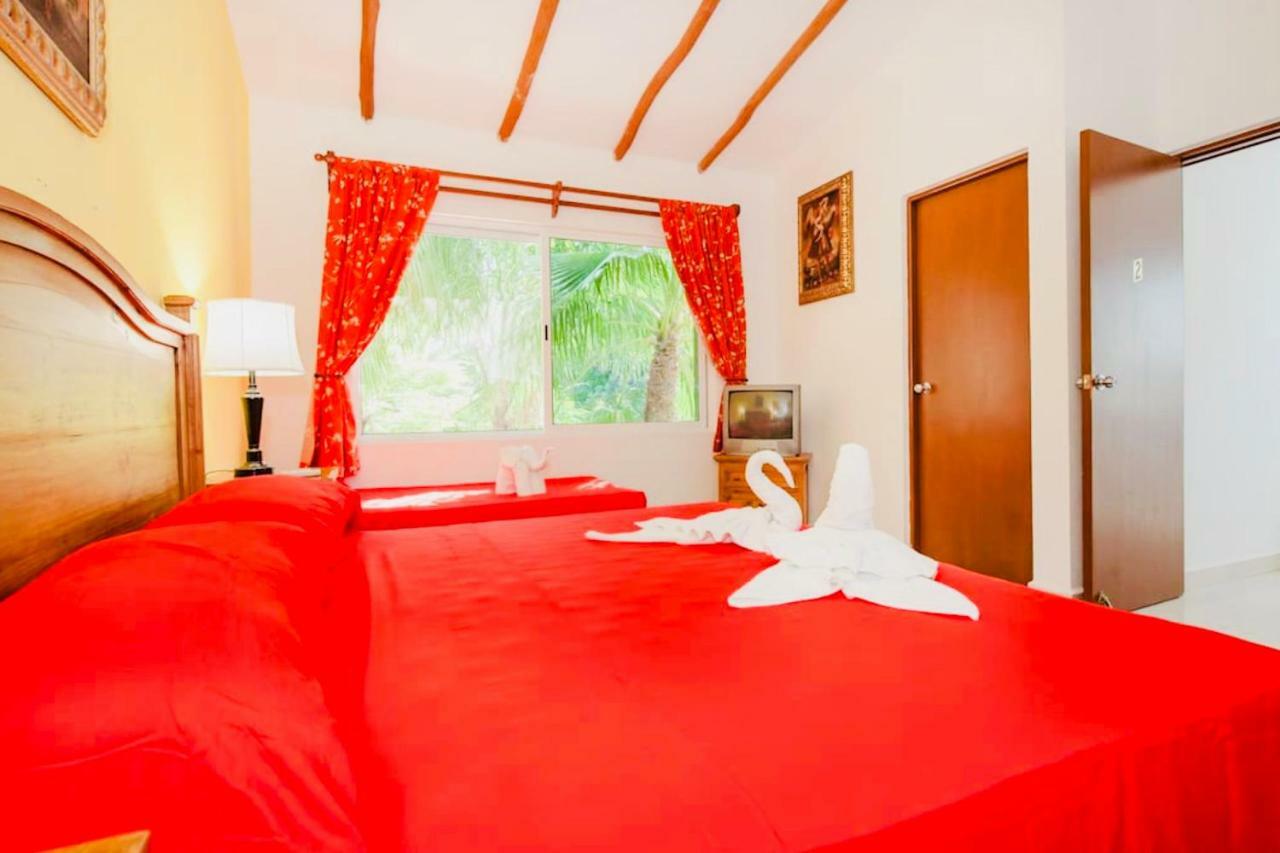 Executive Budget With Swimming Pool Air Conditioning And Parking Guest house