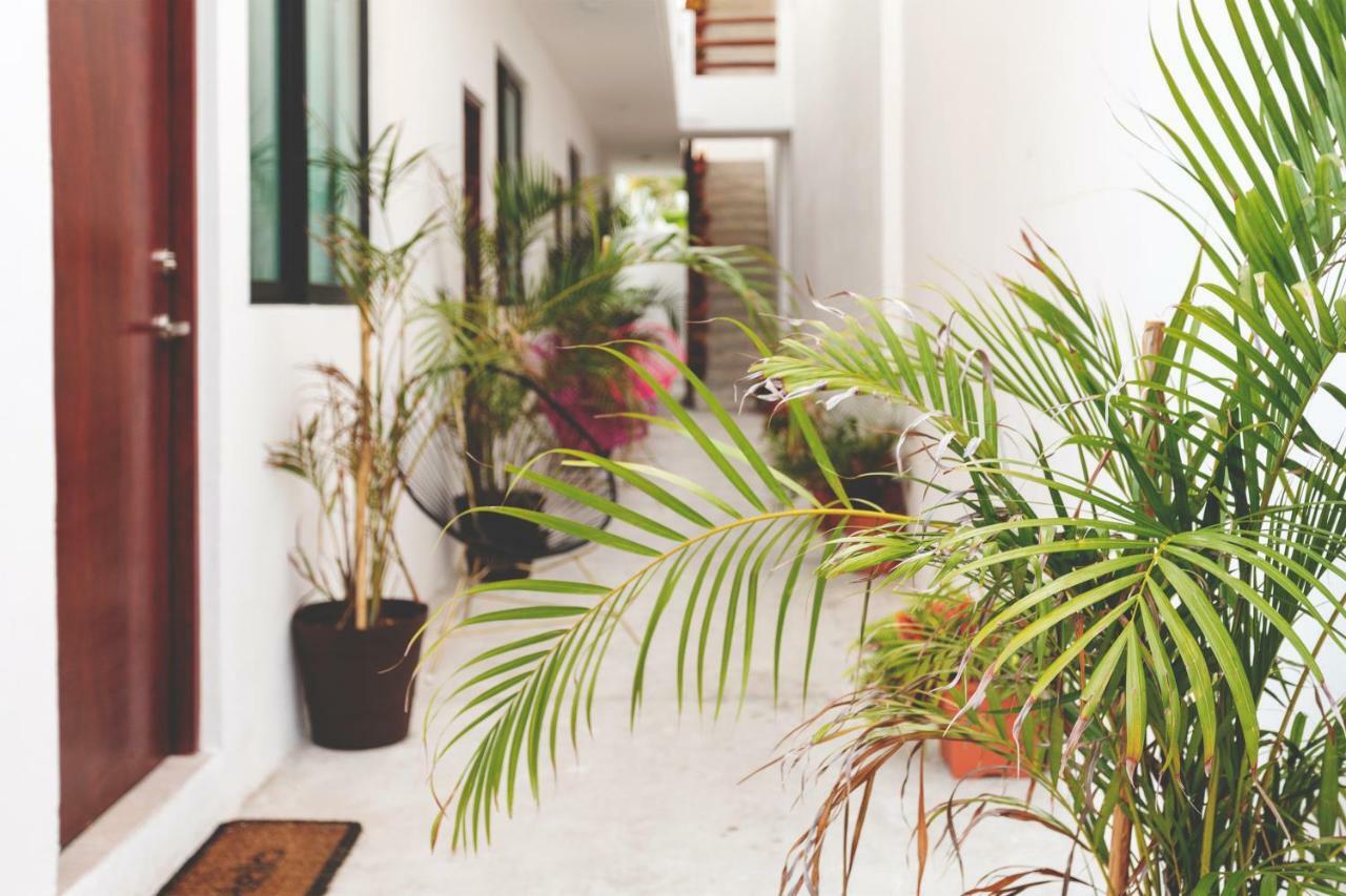 Hotel Dewl Estudios & Residences : The Kahlo