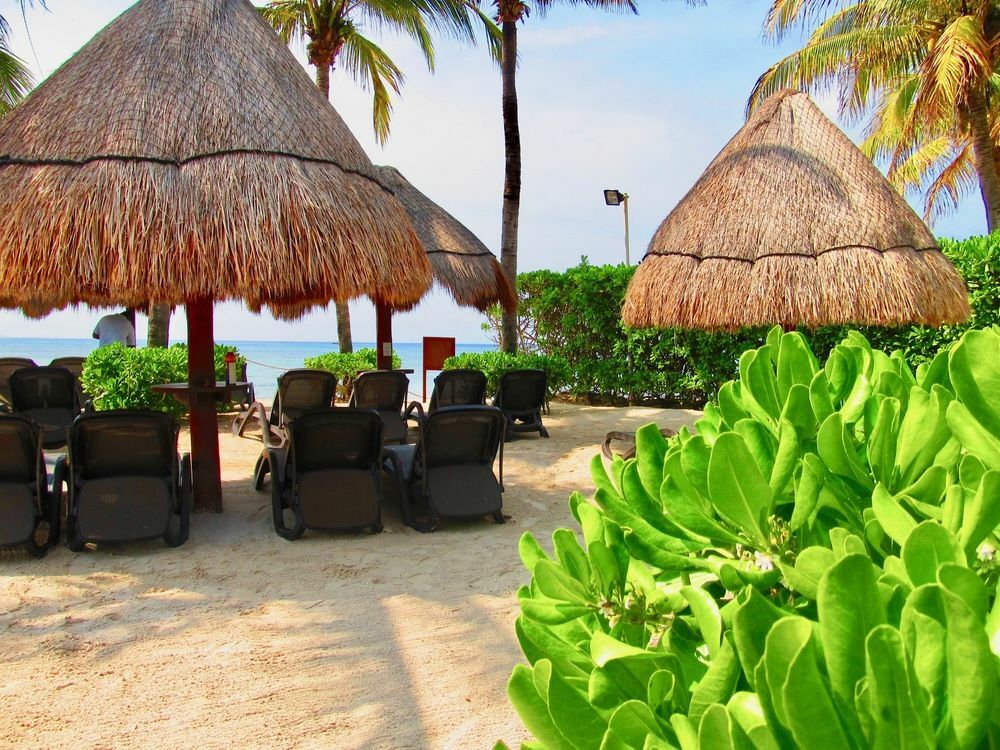 Hotel The Elements Ocean Front By Playa Paradise Playa del Carmen