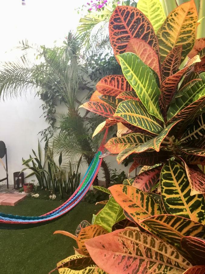 La Casa Del Mexicano Terraza Y Jardin Exoticos 12 Min Del Playa Esmeralda Сasa de vacaciones
