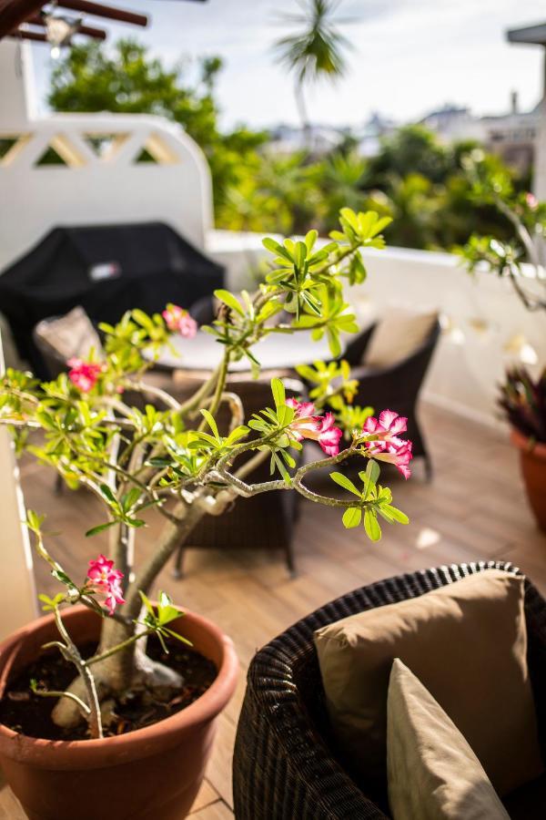 Apartment Penthouse Holiday At Mamitas Beach