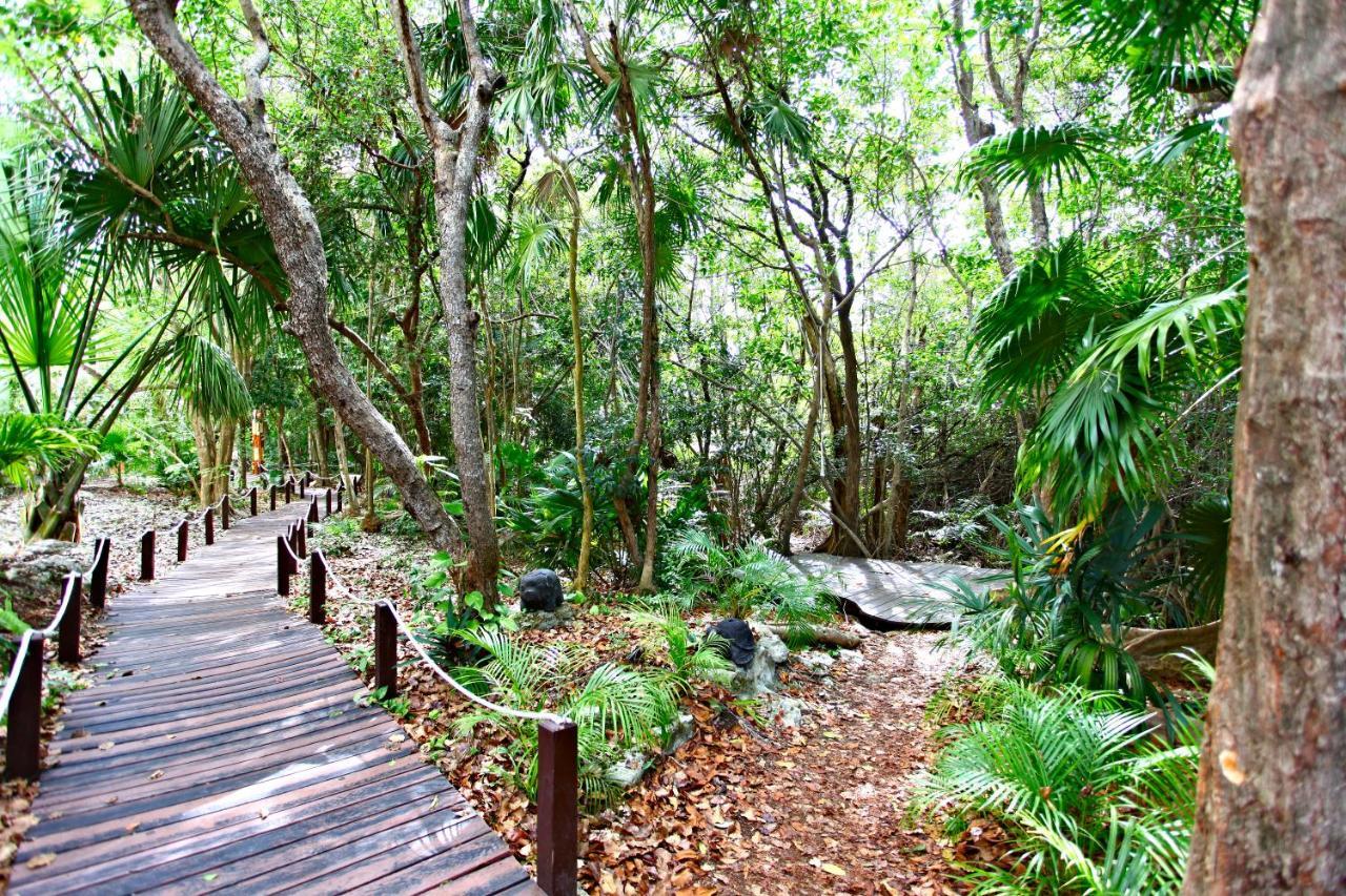 Sandos Caracol Eco (adults Only) Playa del Carmen