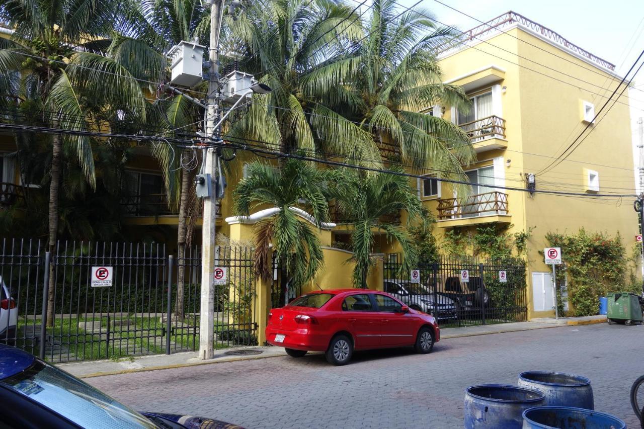 Palmas * Playa del Carmen