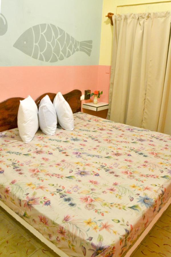Casa Palma Hotel 2*