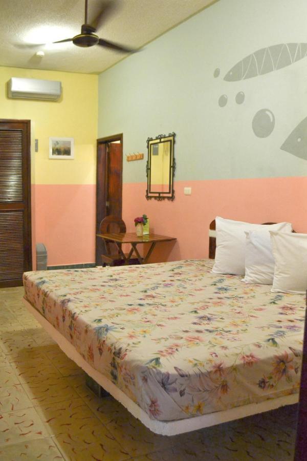 Hotel Casa Palma 2*