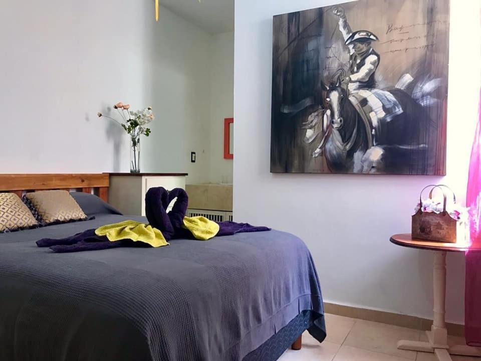 Casa Mikeles Guest house *