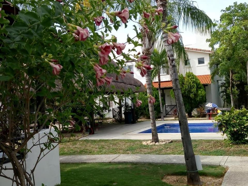 Casa Mikeles Guest house Playa del Carmen