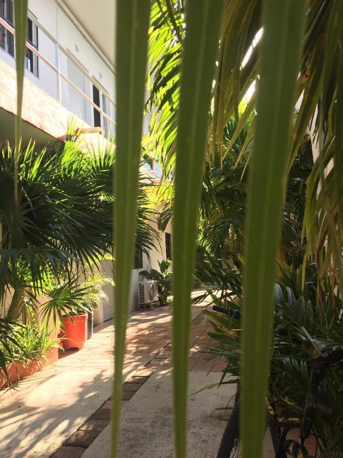 Olmeca Hotel