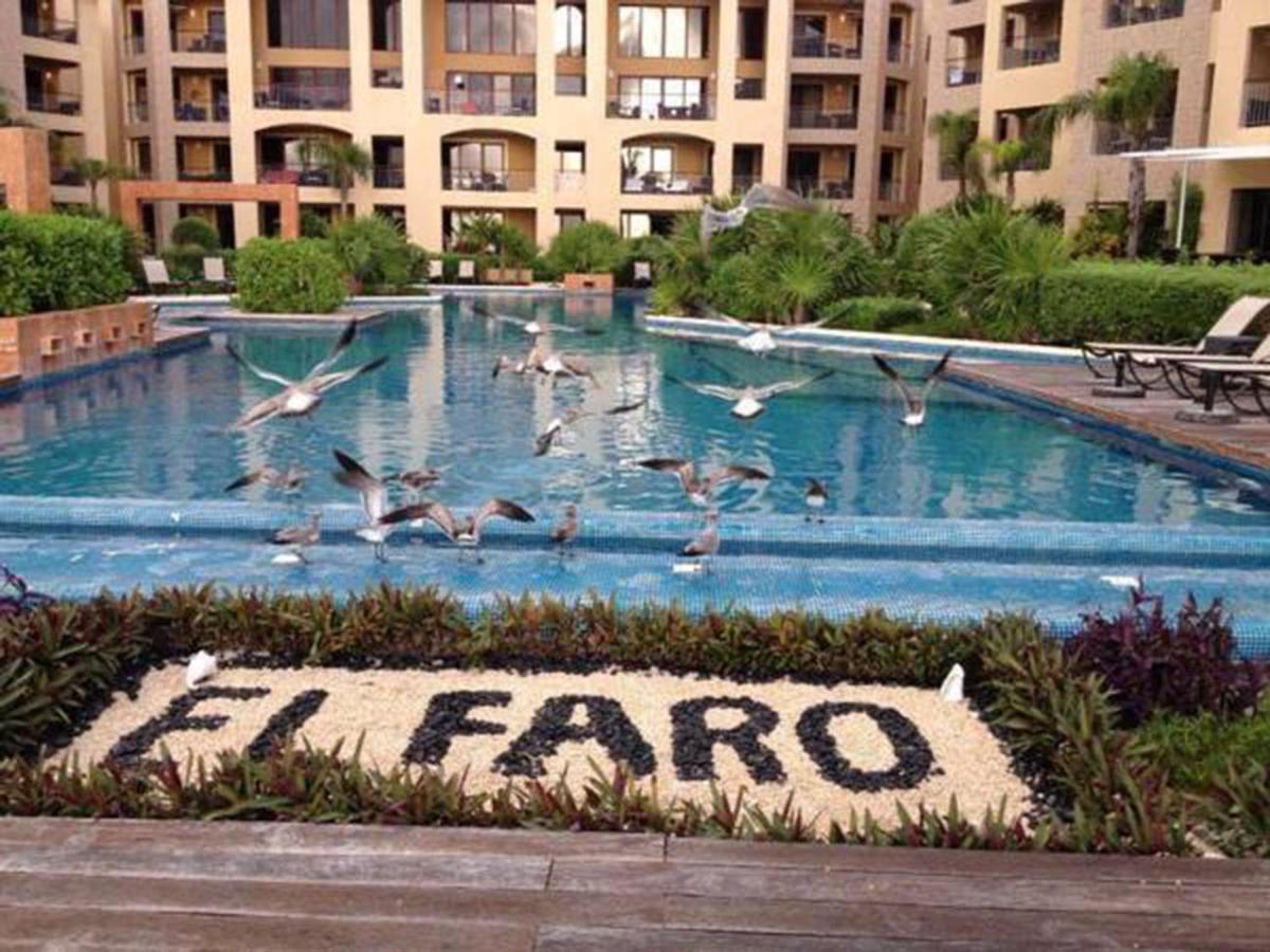 El Faro 404 Surf Apartment *