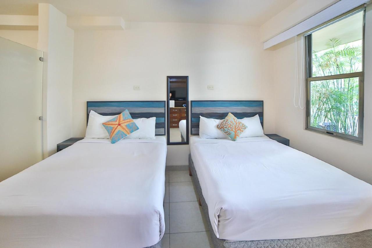 Apartahotel Mimosa Luxury