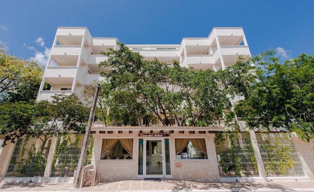 Casa Del Arbol