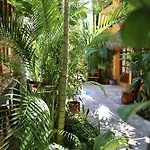 Hotel Bosque Caribe, 5th Av. zone
