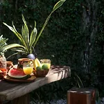 Cactus House