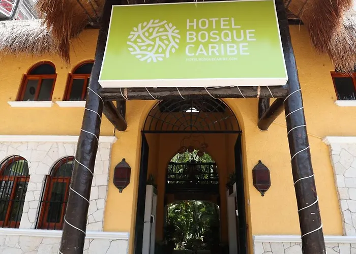 Hotel Bosque Caribe, 5th Av. zone