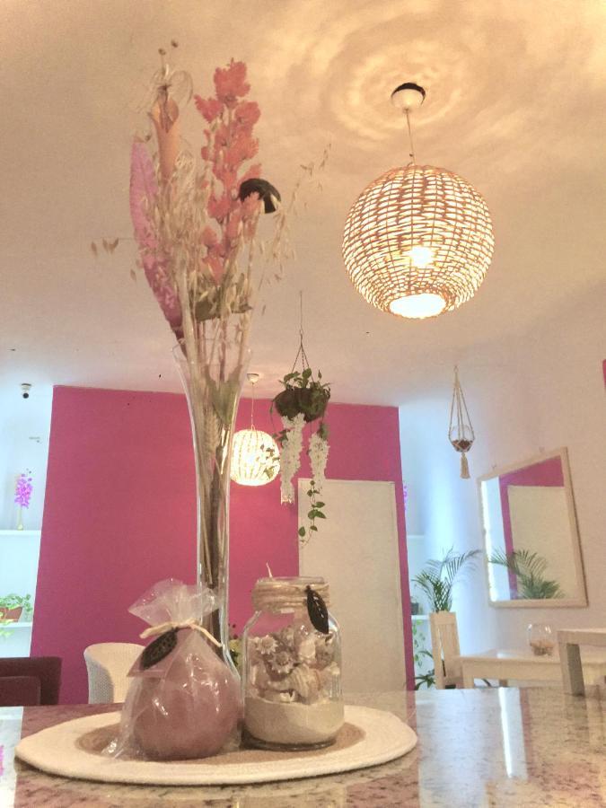 Bed & Breakfast Amaranta *