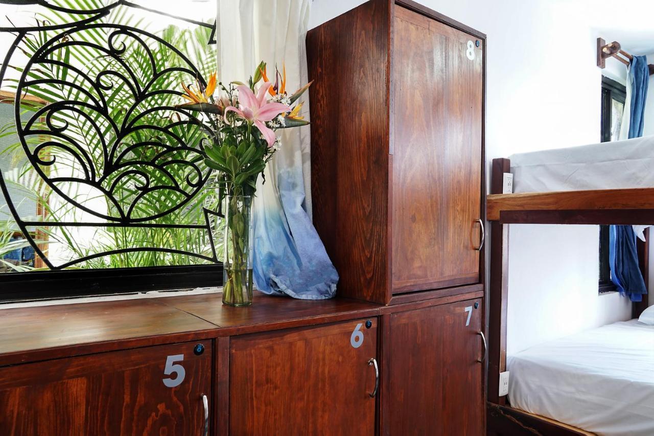 Albergue Red Panda