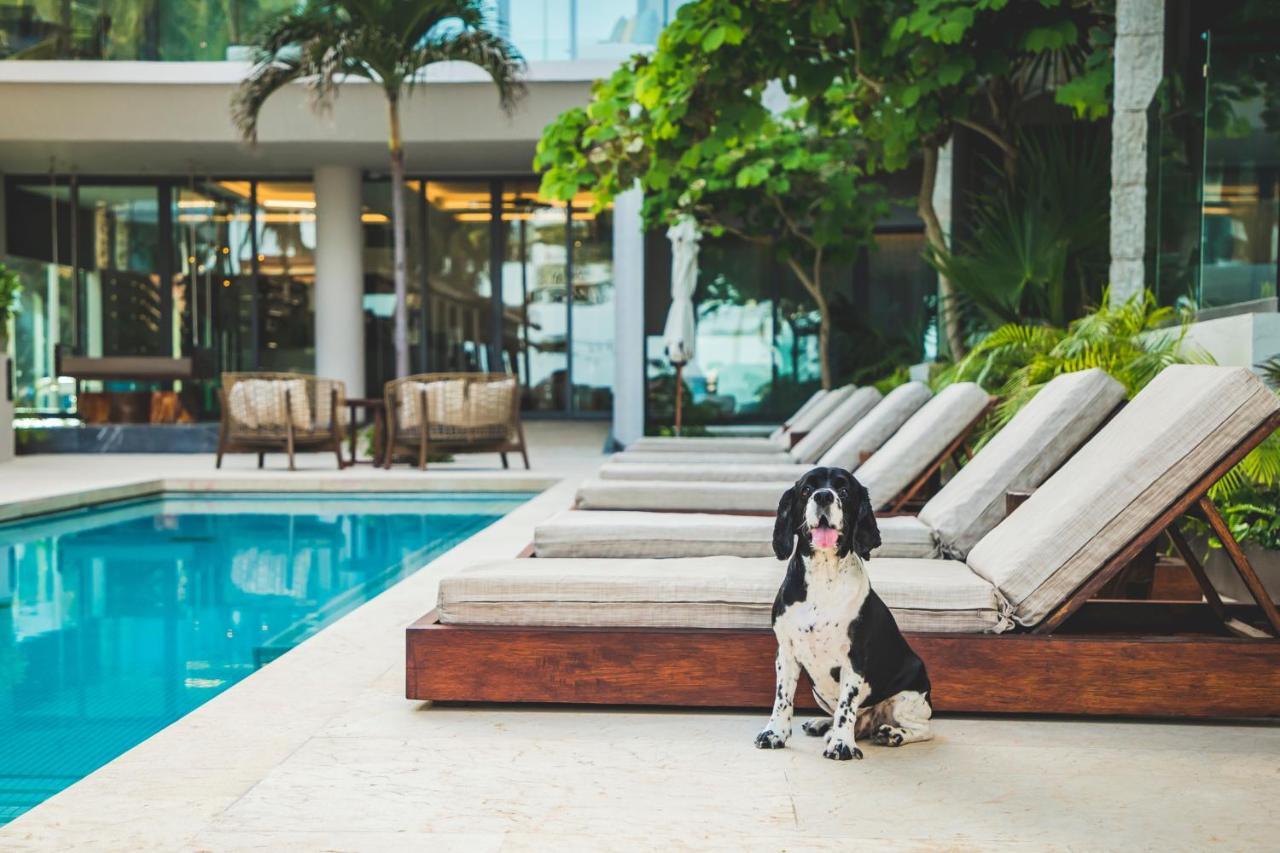 Thompson House, By Hyatt 4*