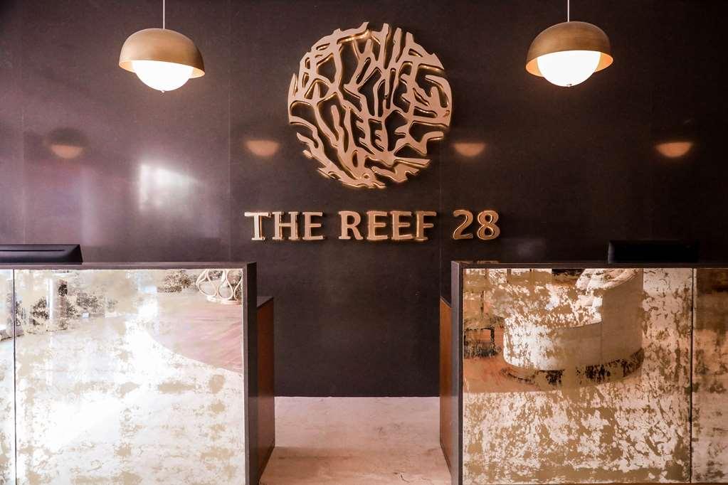 The Reef 28