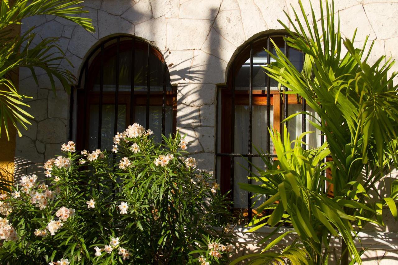 Bosque Caribe, 5th Av. Zone Playa del Carmen