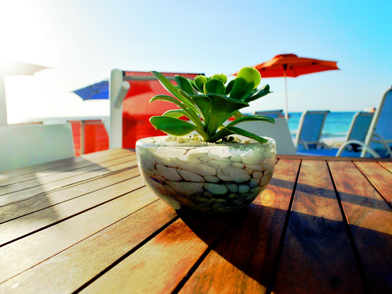 We Uniq El Carmen Adults Only Hotel